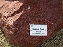 2012-10-07,_Nochten (54)
